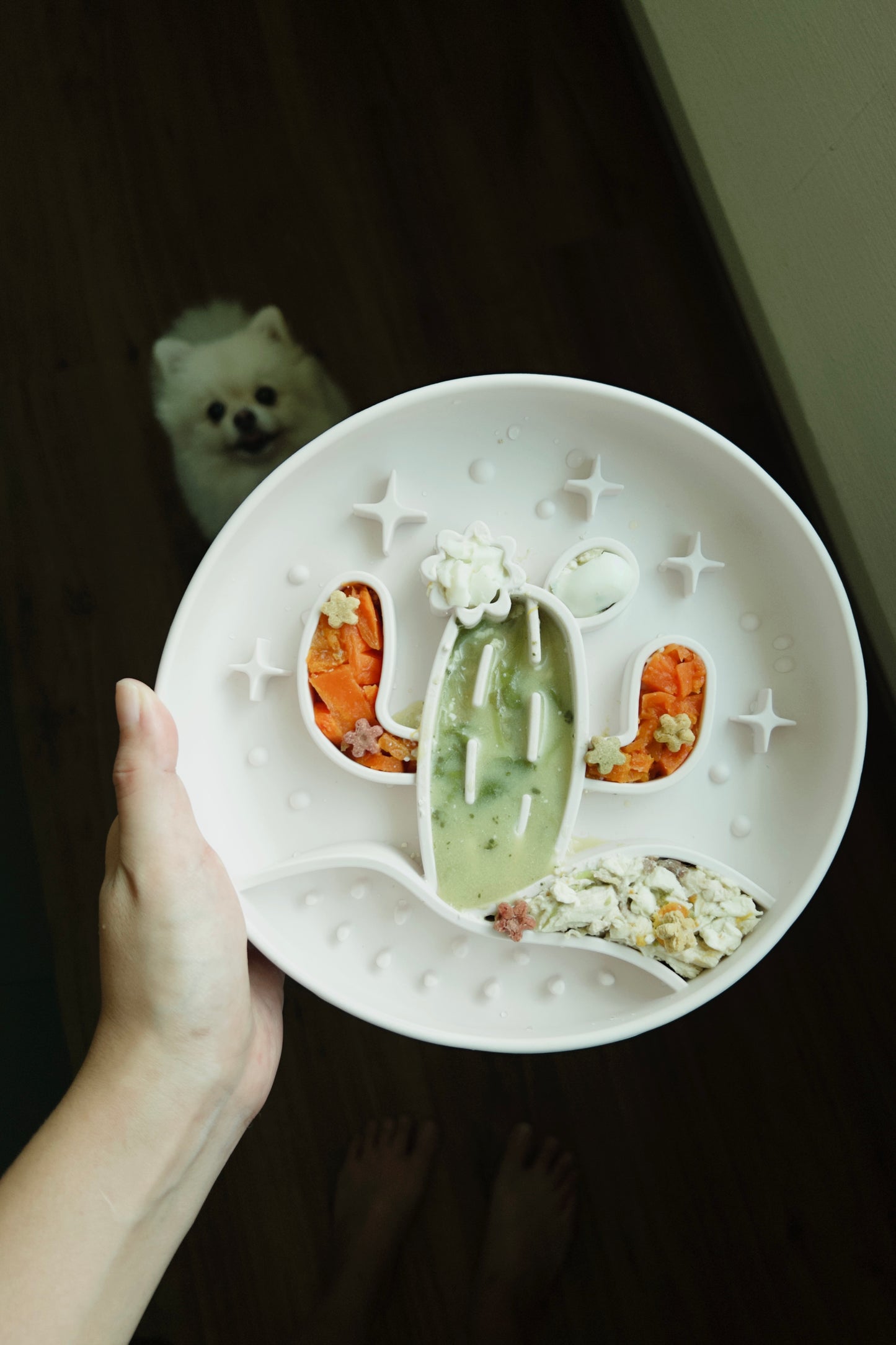 Cactus Slow Feeder / Beige
