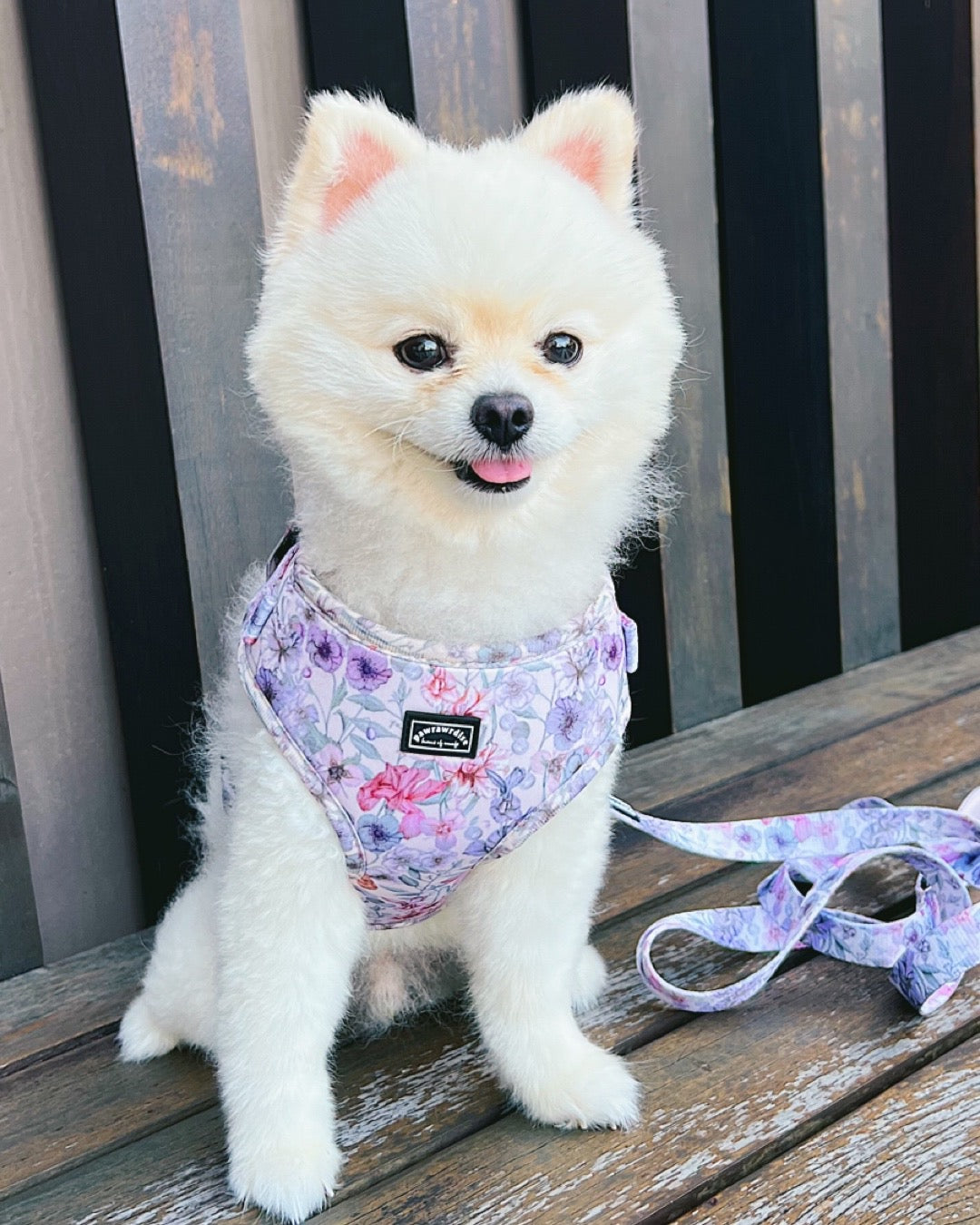 Whimsical Floral Adjustable Harness