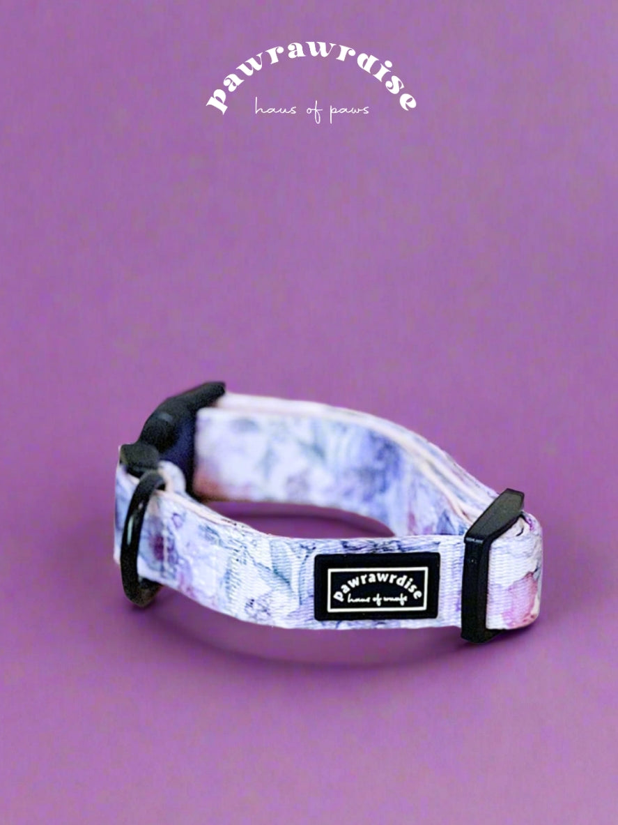 Whimsical Floral Dog Collar