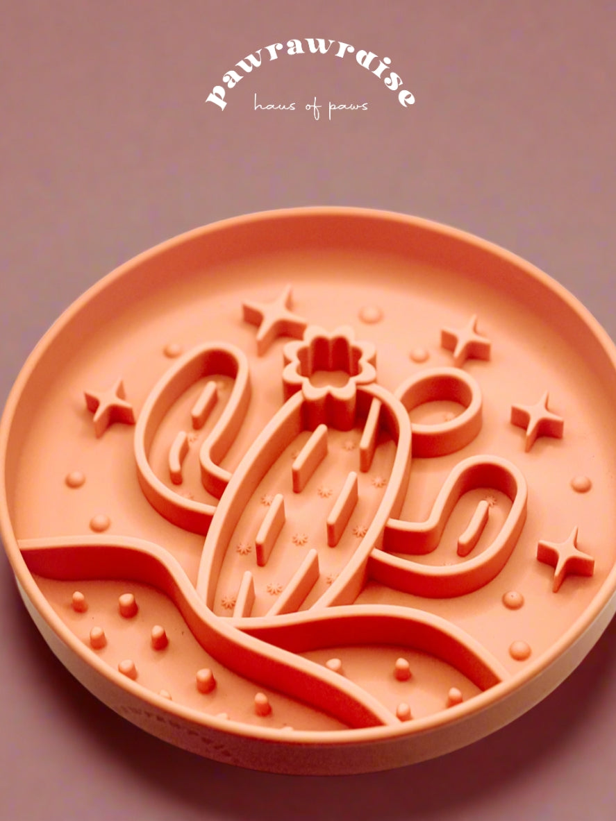 Cactus Slow Feeder / Orange