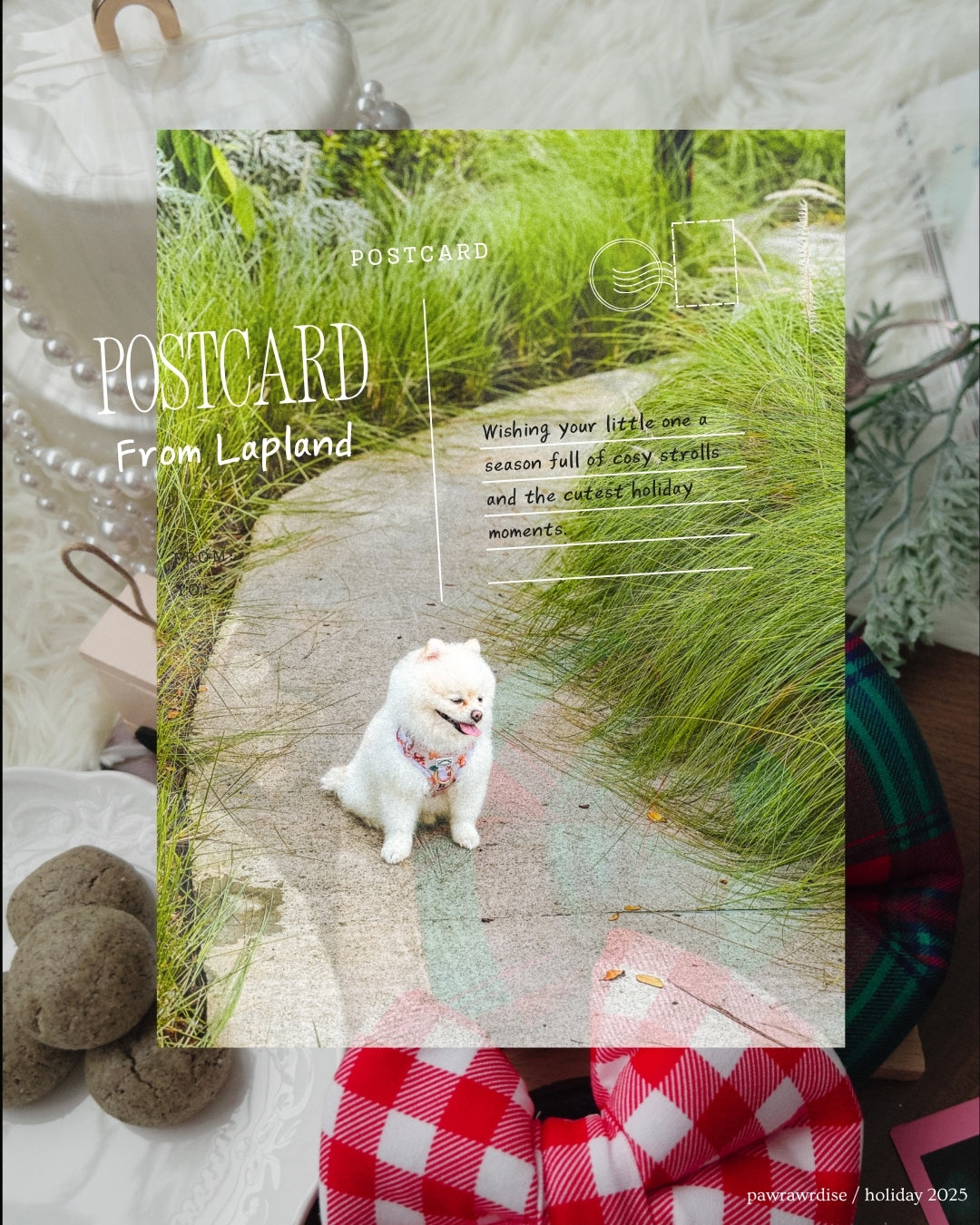 Noel’s Tradition Adjustable Harness