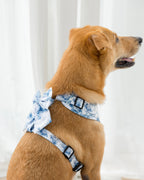 Enchanted Sailor Bow