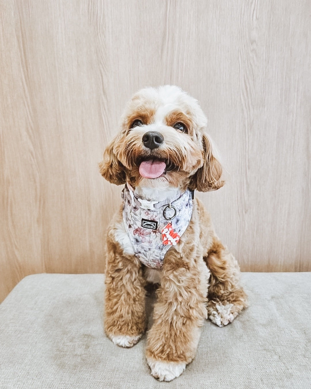 Whimsical Floral Harness