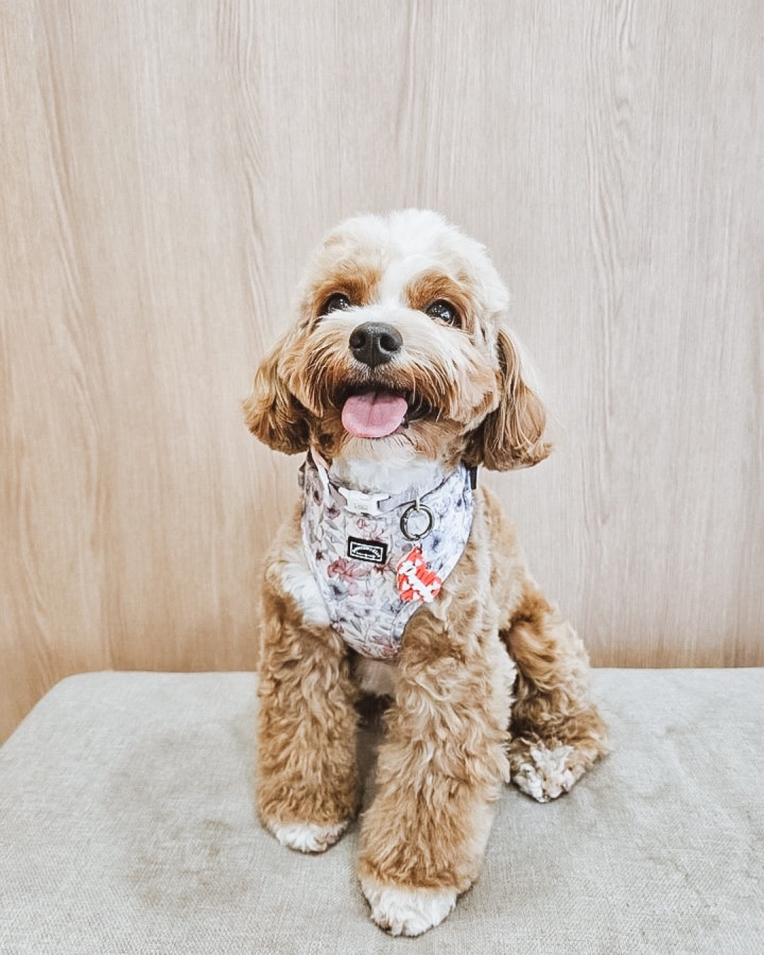 Whimsical Floral Adjustable Harness