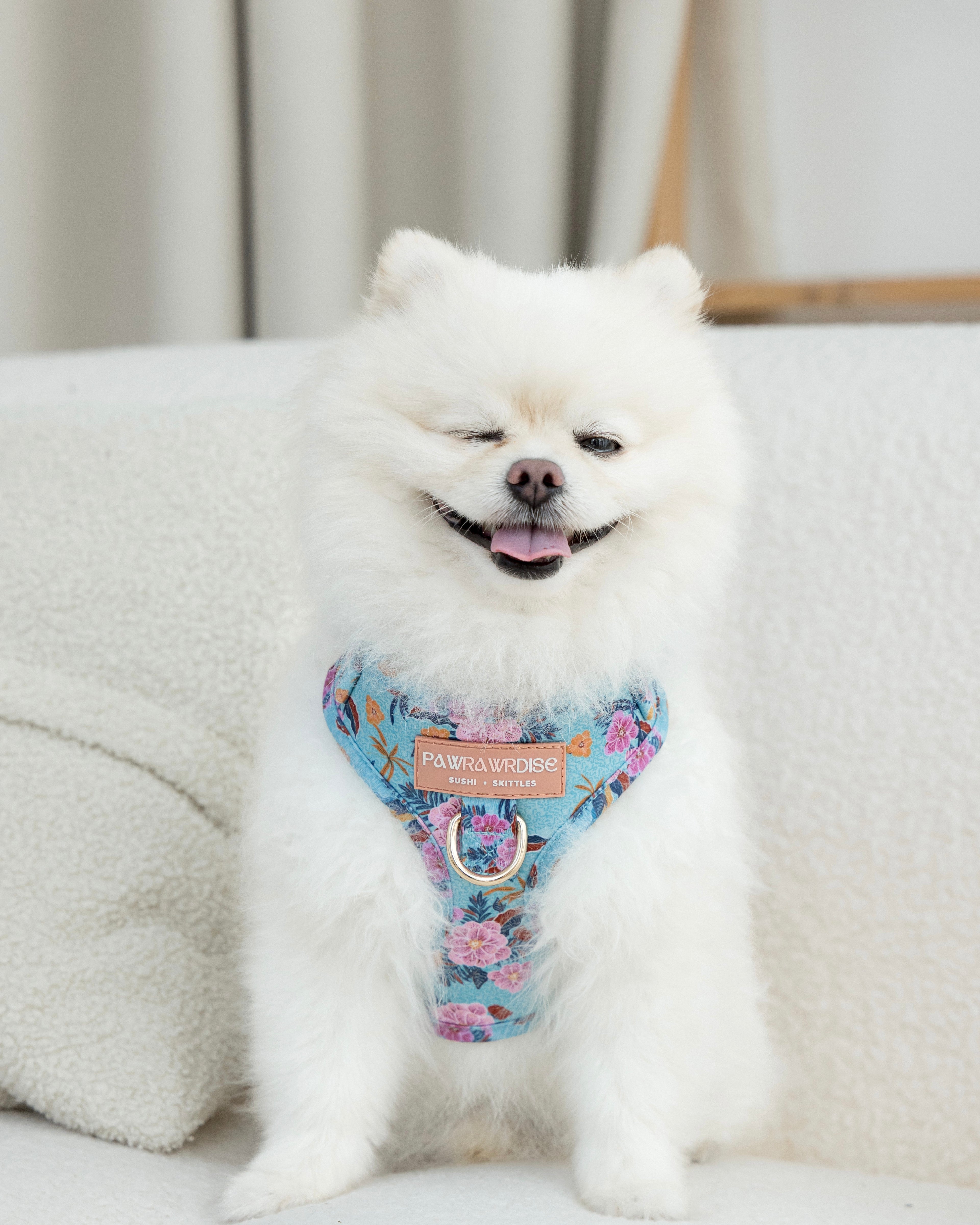 Laguna Tropical Adjustable Harness