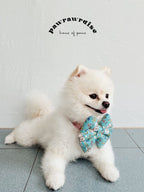 Flopsy Rabbit Pillow Bow