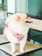Two Piece Bundle - Summer Lurving Adjustable Harness