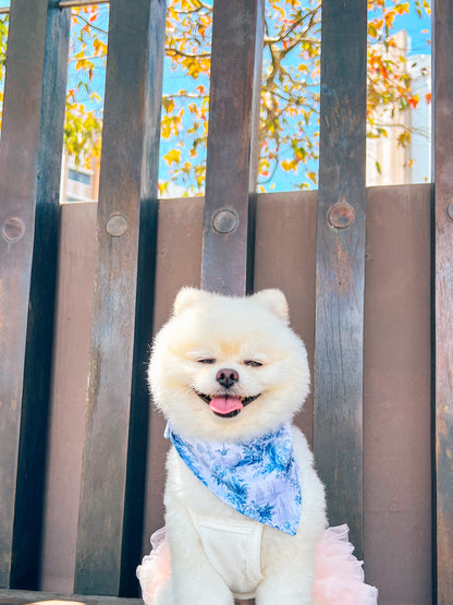 Enchanted Bandana