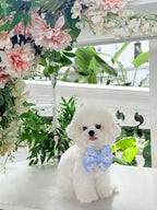 Daisy Bloom Pillow Bow