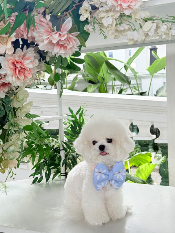 Daisy Bloom Pillow Bow