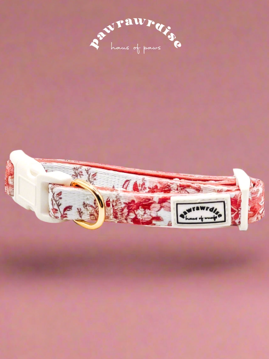City of Love Dog Collar