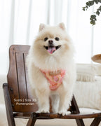 Blush Bloom Adjustable Harness