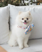 Summer Lurving Dog Collar