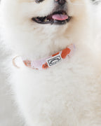 Summer Lurving Dog Collar