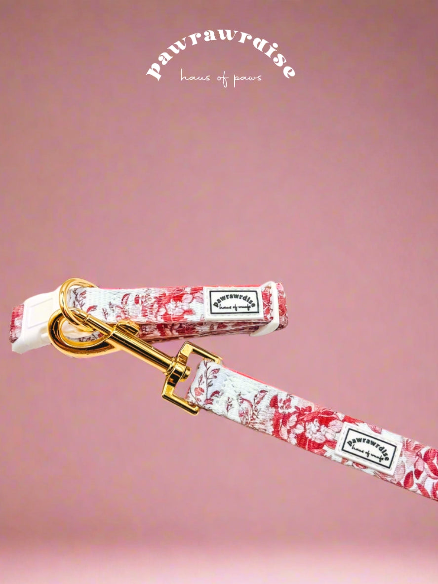 City of Love Dog Collar