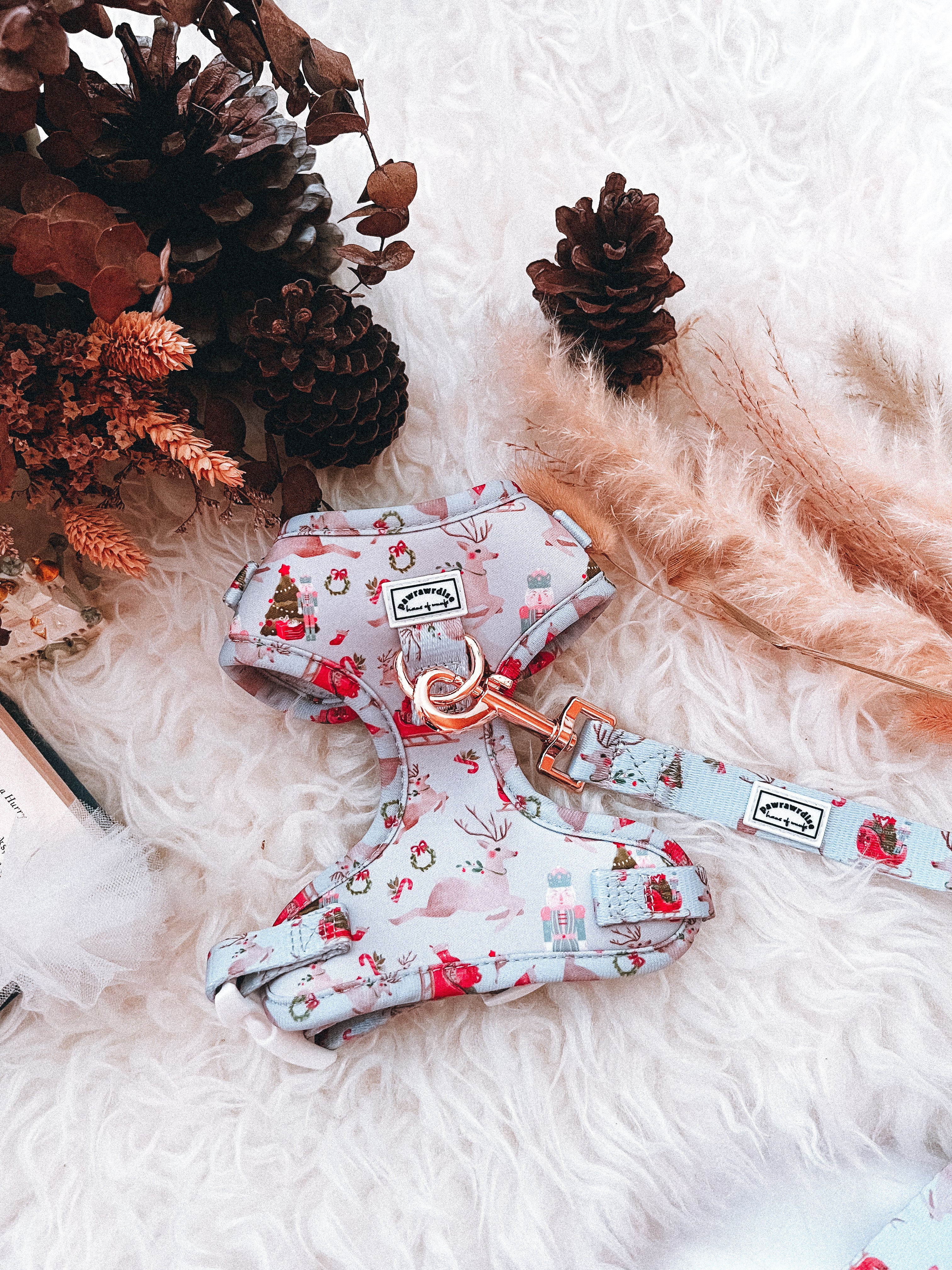 Dreamy Winter Leash
