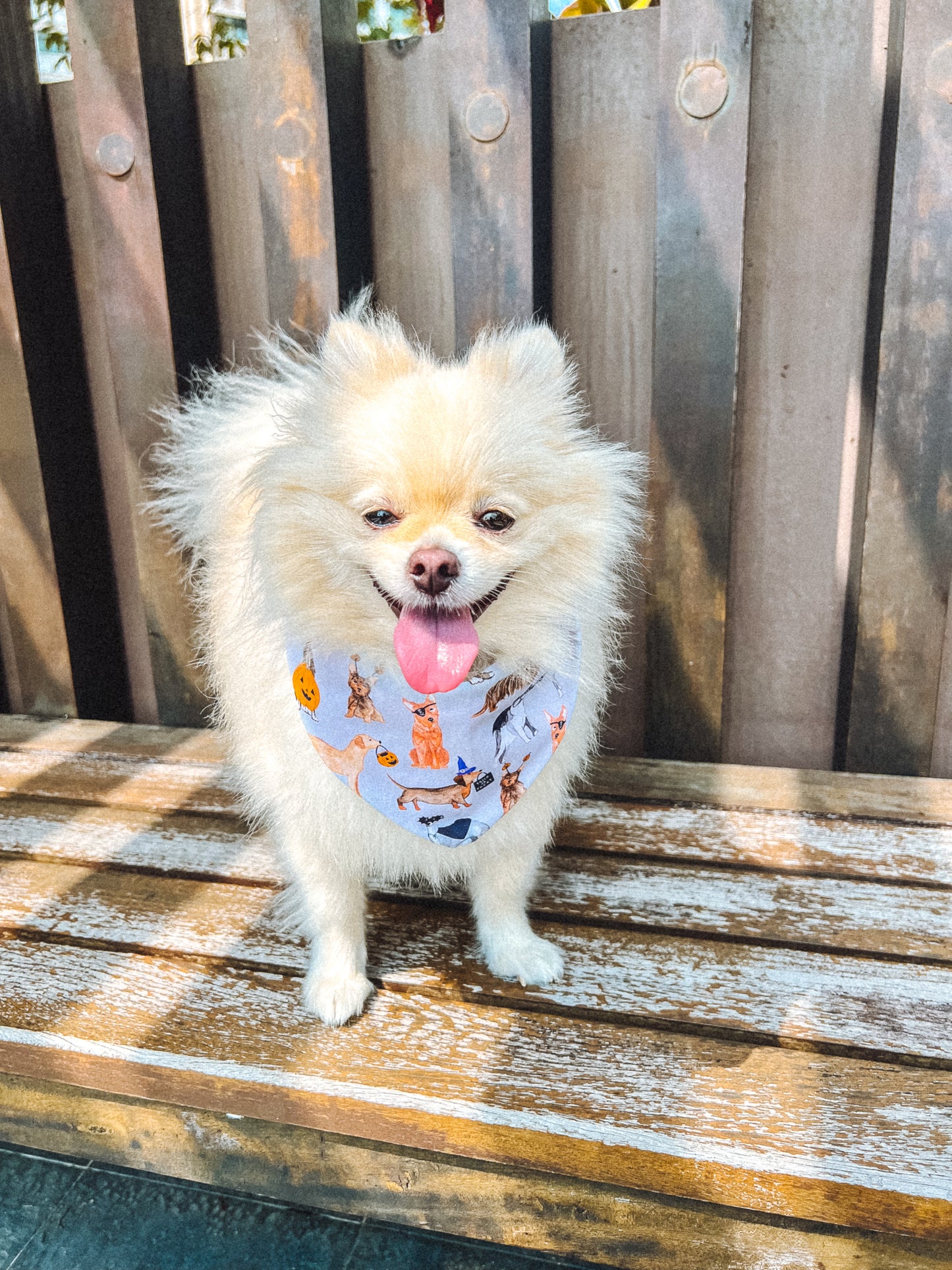 Halloween Pups Bandana