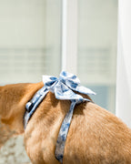 Enchanted Sailor Bow