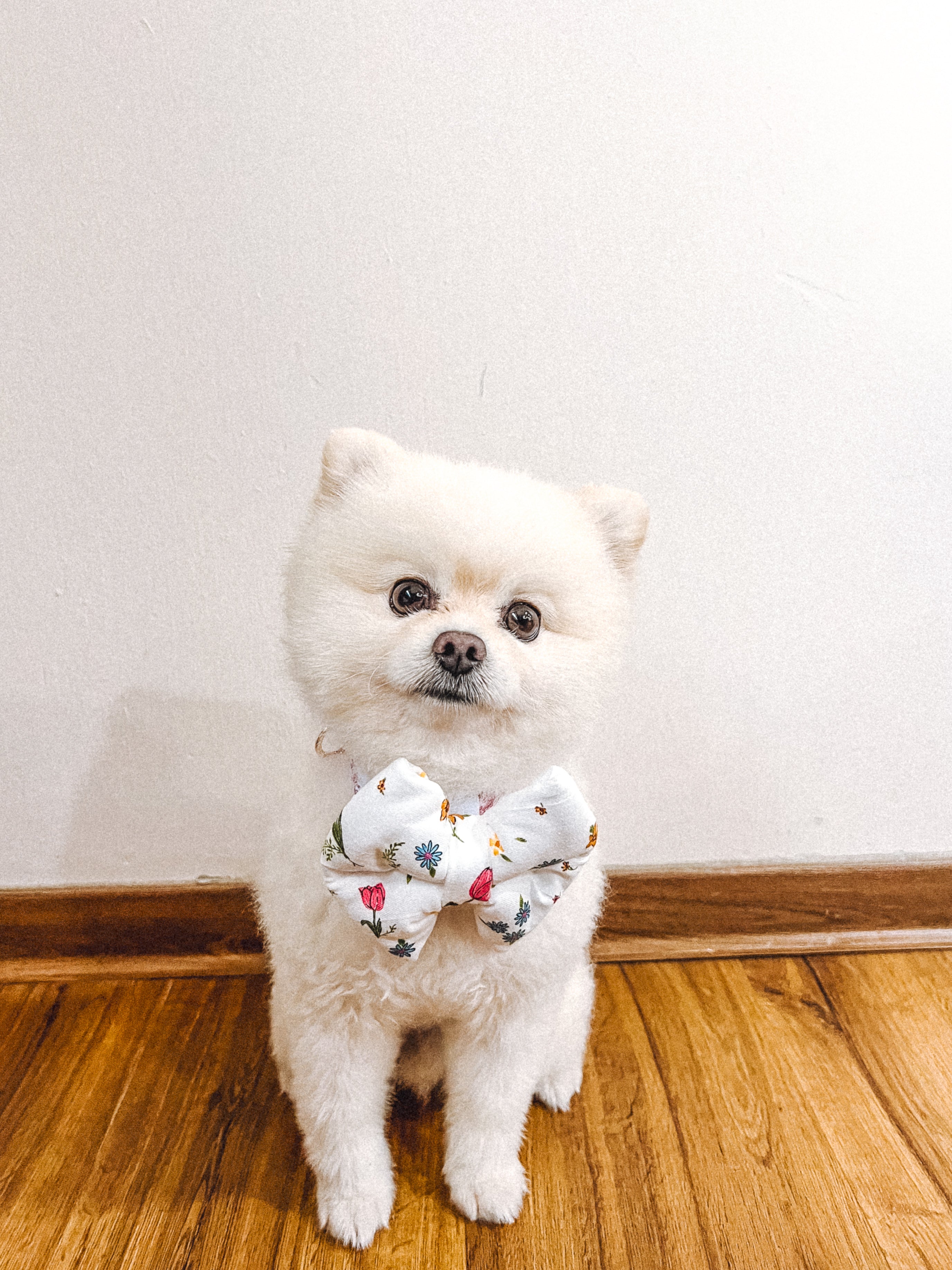 Meadow Floral Pillow Bow
