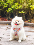 Noel’s Tradition Adjustable Harness