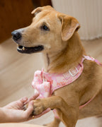 Blush Bloom Adjustable Harness