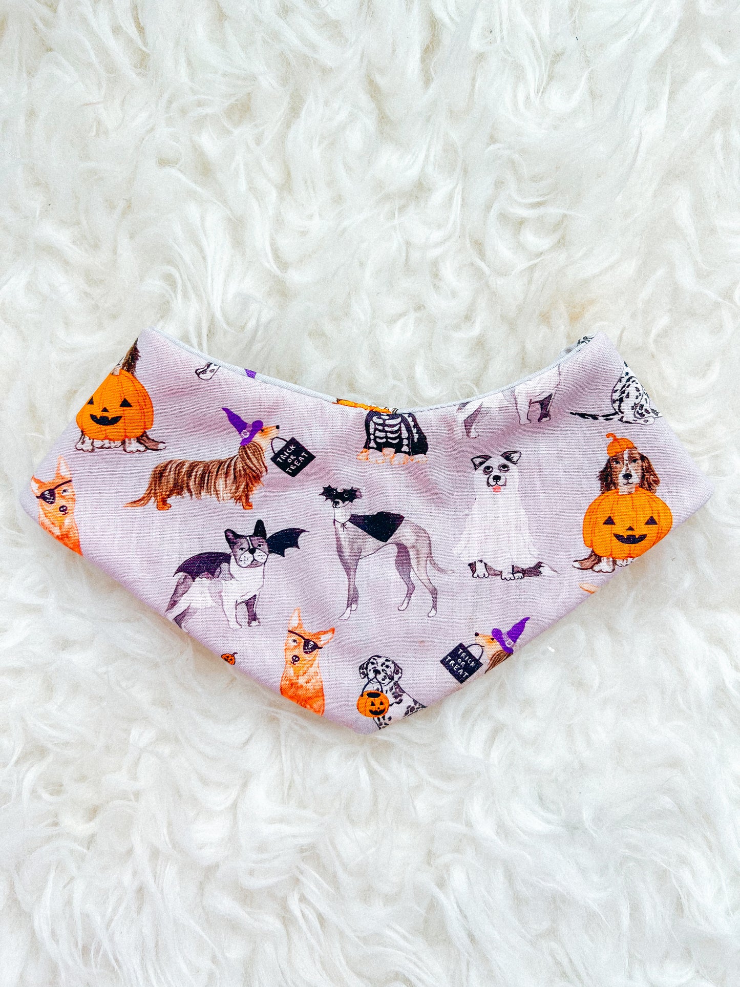 Halloween Pups Bandana