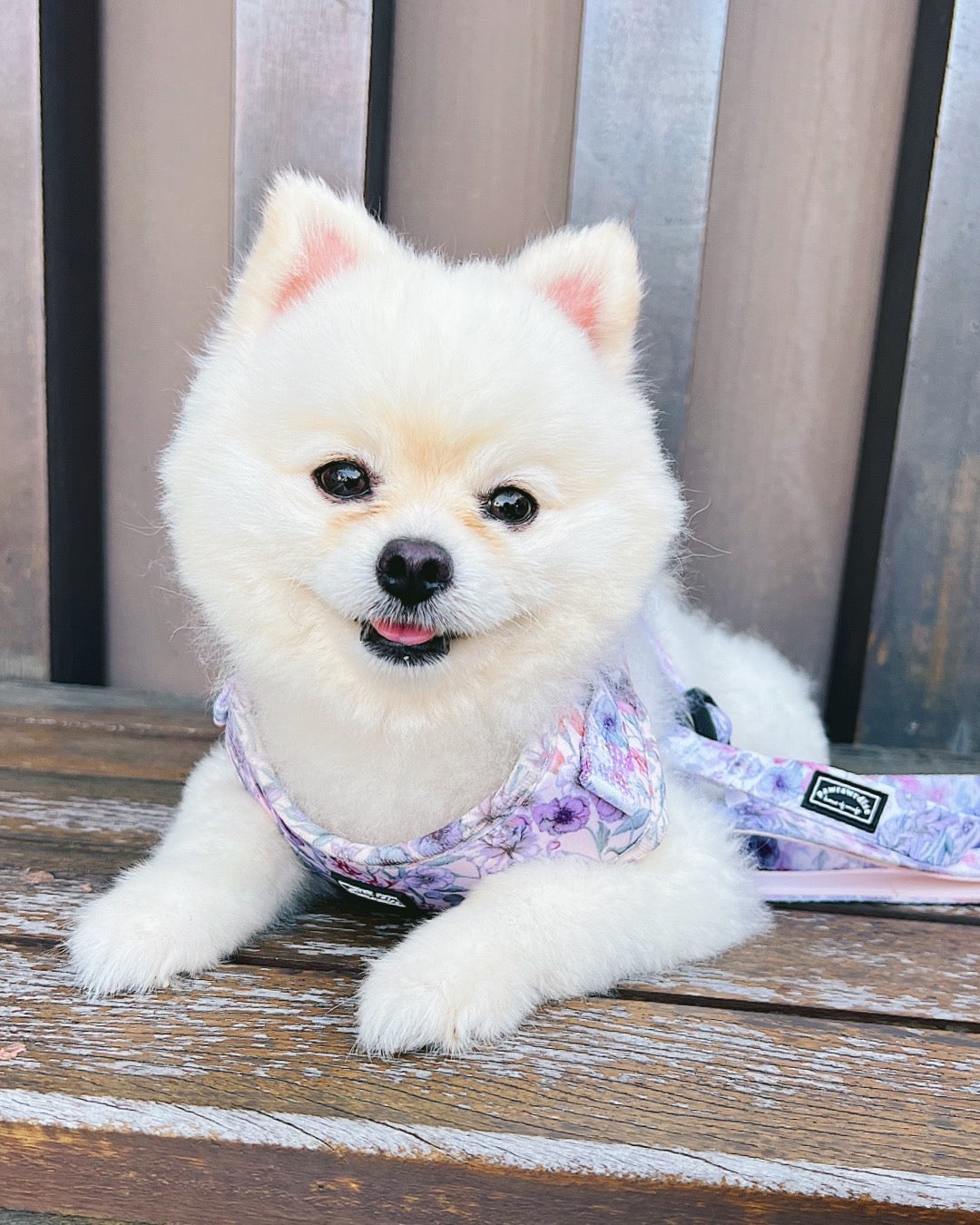 Whimsical Floral Harness