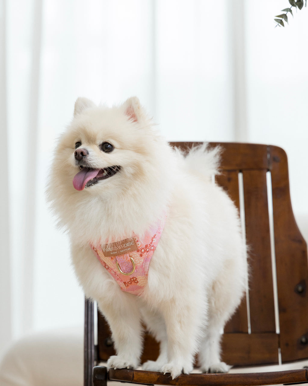Blush Bloom harness side view