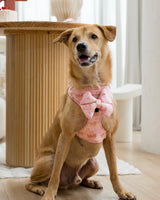 Blush Bloom Pillow Bow