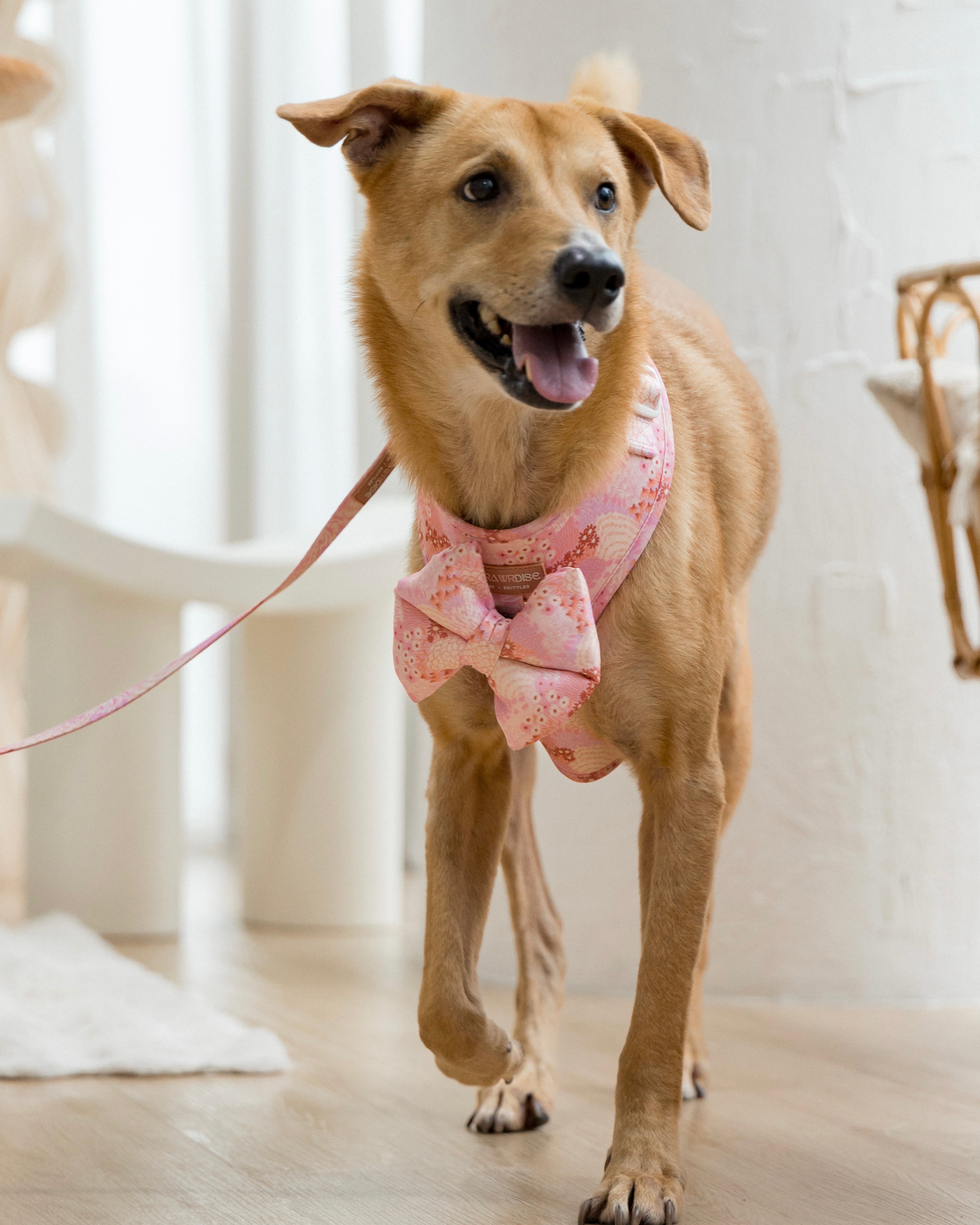 Blush bloom harness with pillow bow front view