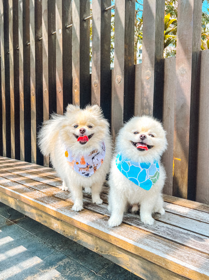 Halloween Pups Bandana