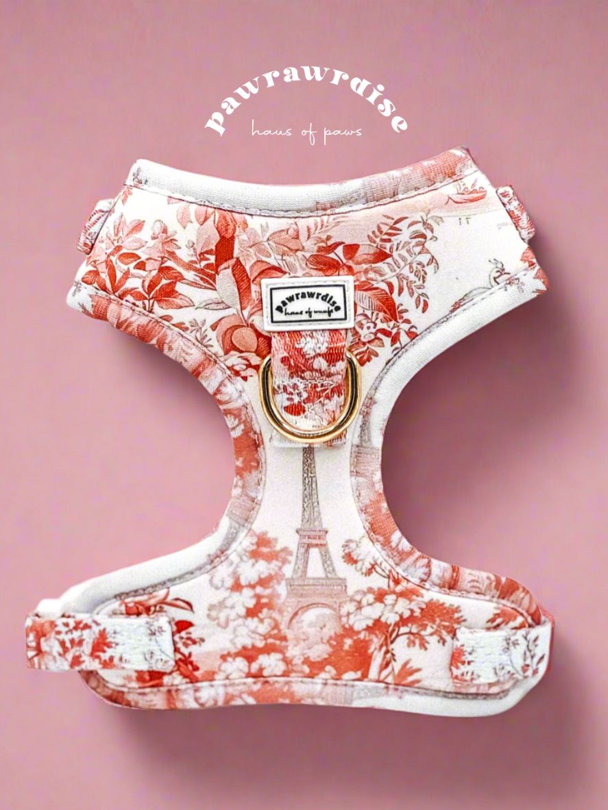 City of Love Adjustable Harness