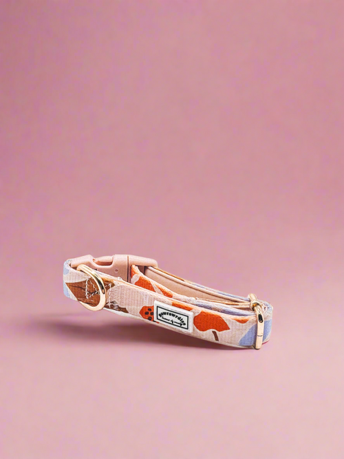 Summer Luving Dog Collar