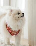 Scarlet Batik Adjustable Harness