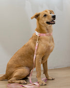 Blush Bloom Leash