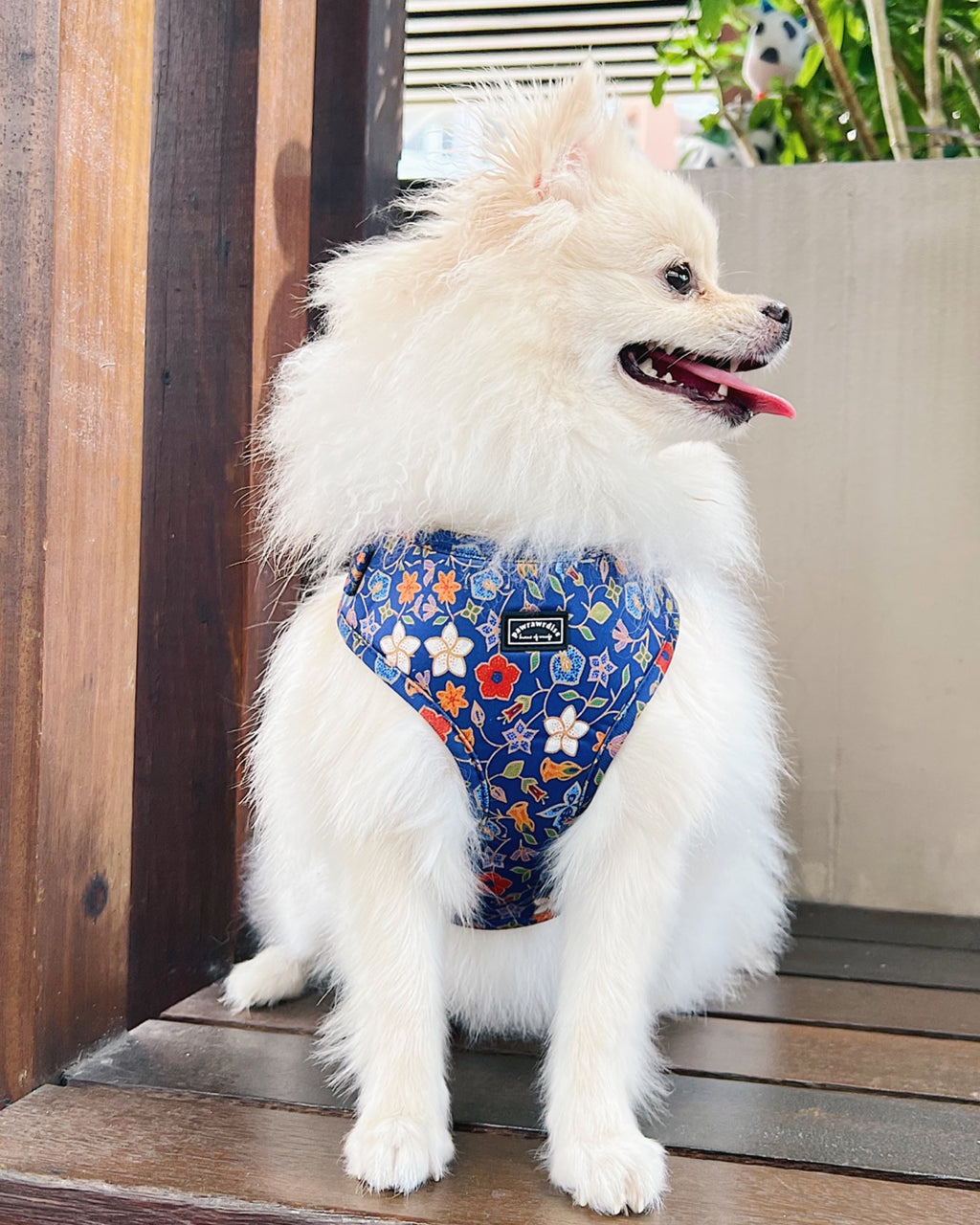 Caddy batik harness front view