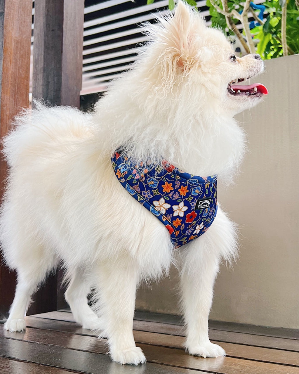 Caddy batik harness side view