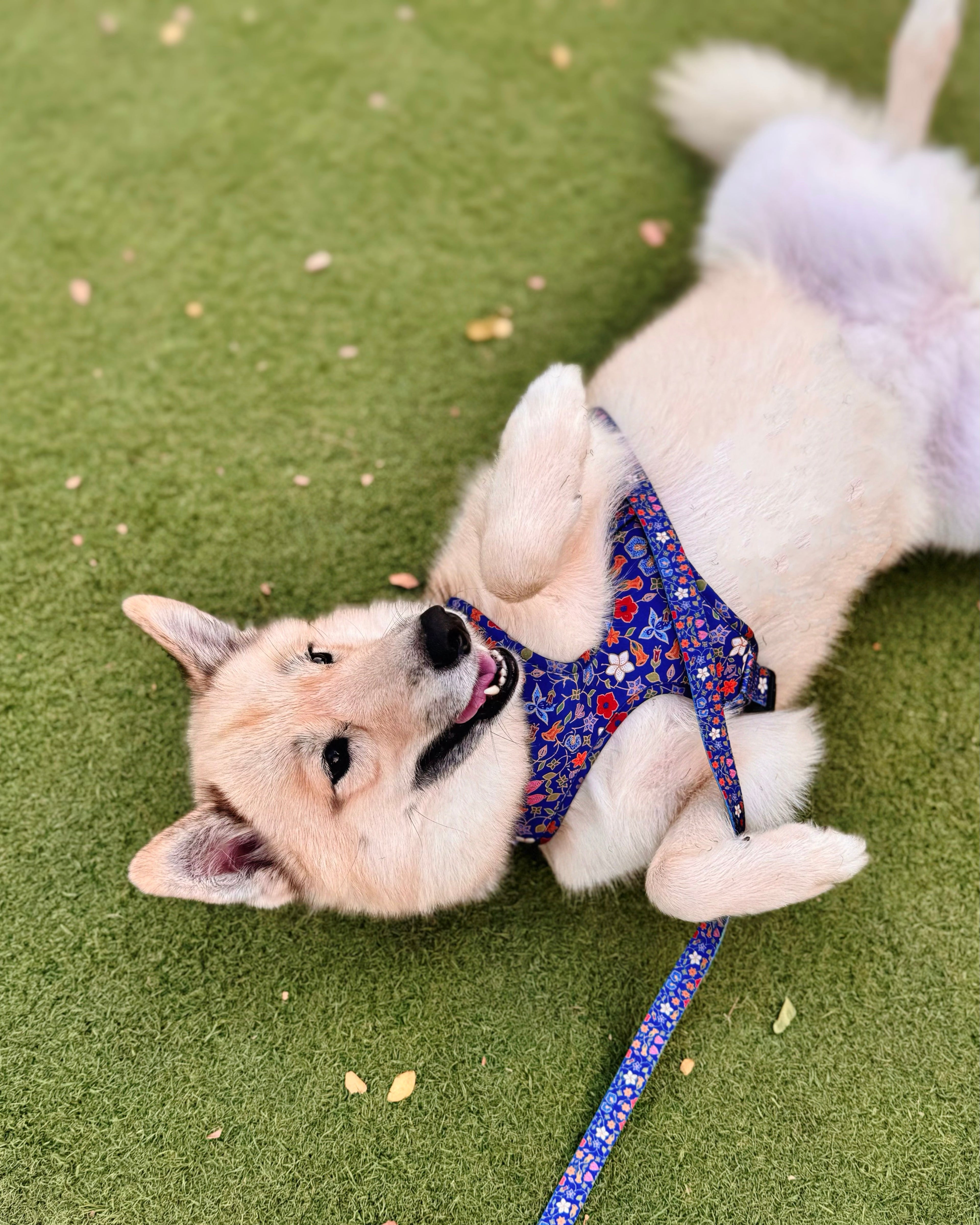 Caddy batik harness top view