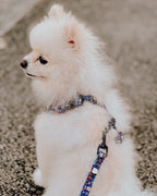 Caddy batik harness with leash back side