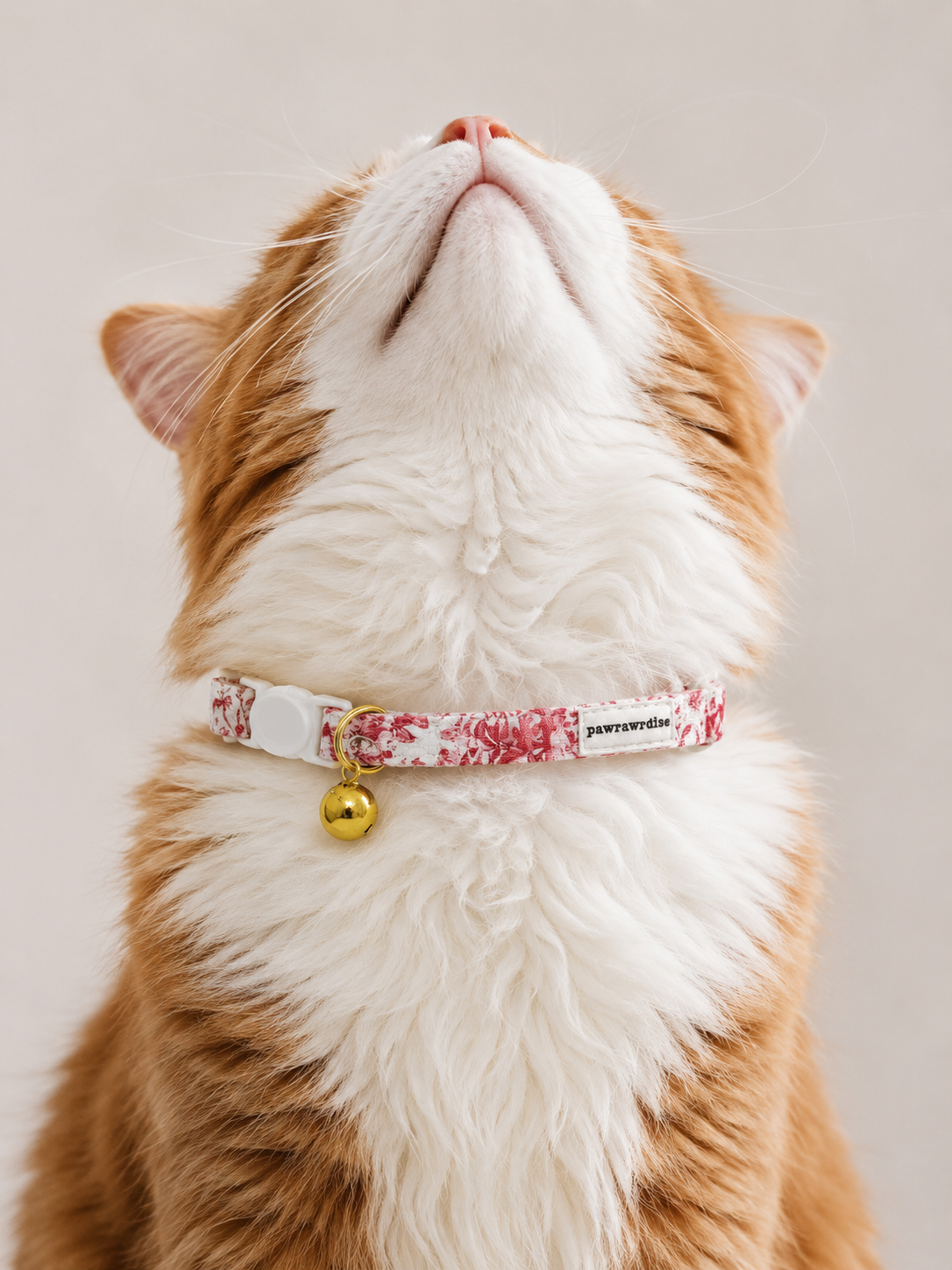 Cat wearing City of Love floral breakaway collar with a bell on a neutral background