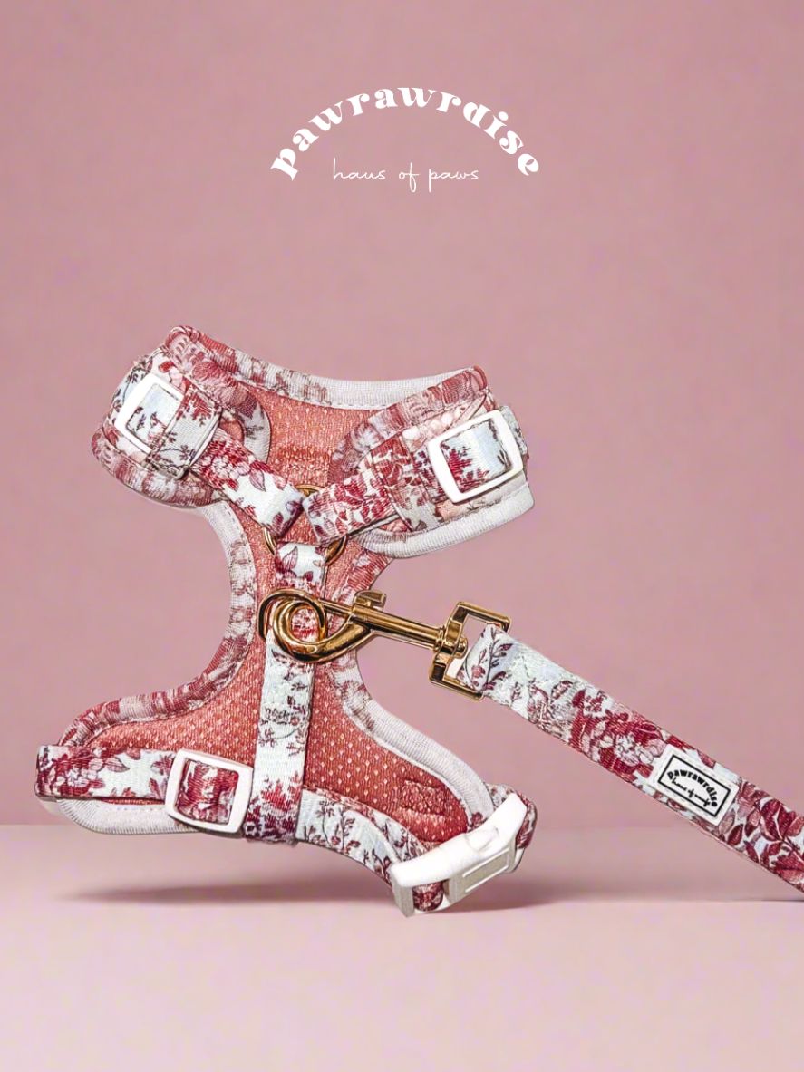 City of Love adjustable dog and cat back harness with adjustable straps and buckle at right side of chest