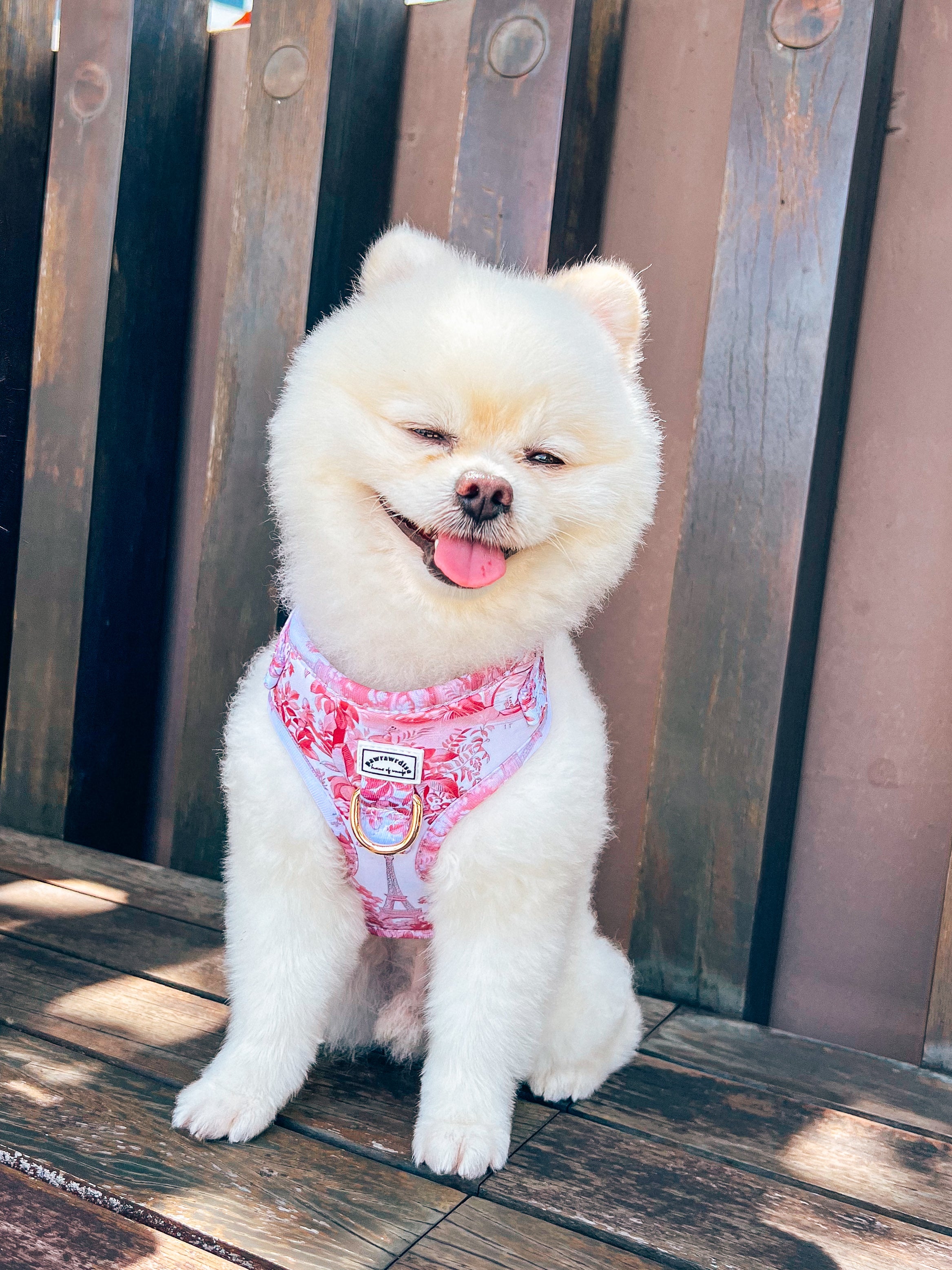 Ciy of love harness front side