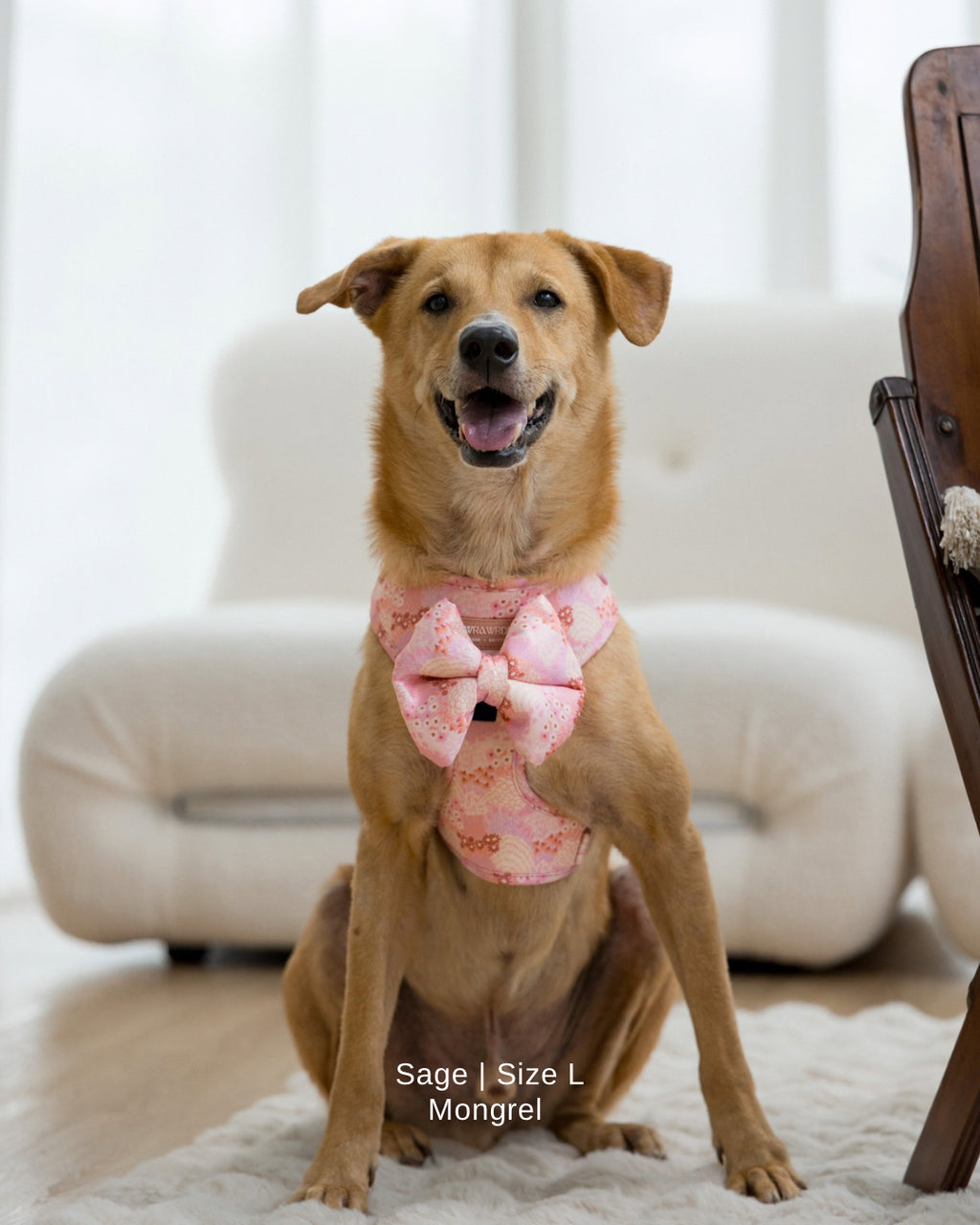 Blush Bloom Adjustable Harness