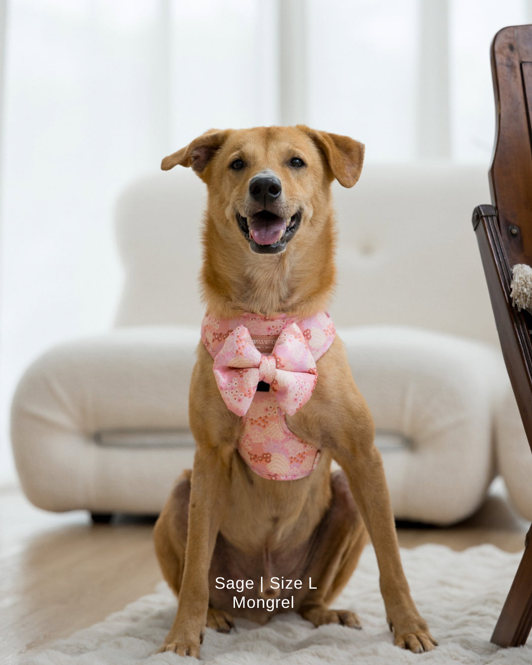 Blush Bloom Adjustable Harness