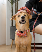 Scarlet Batik Pillow Bow