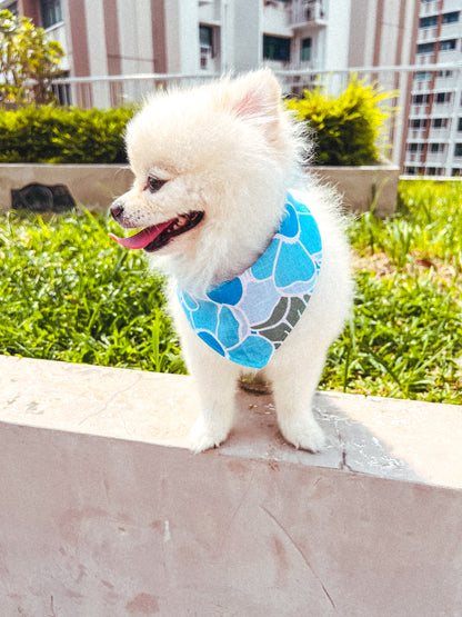 Kamiki Floral Bandana / Blue