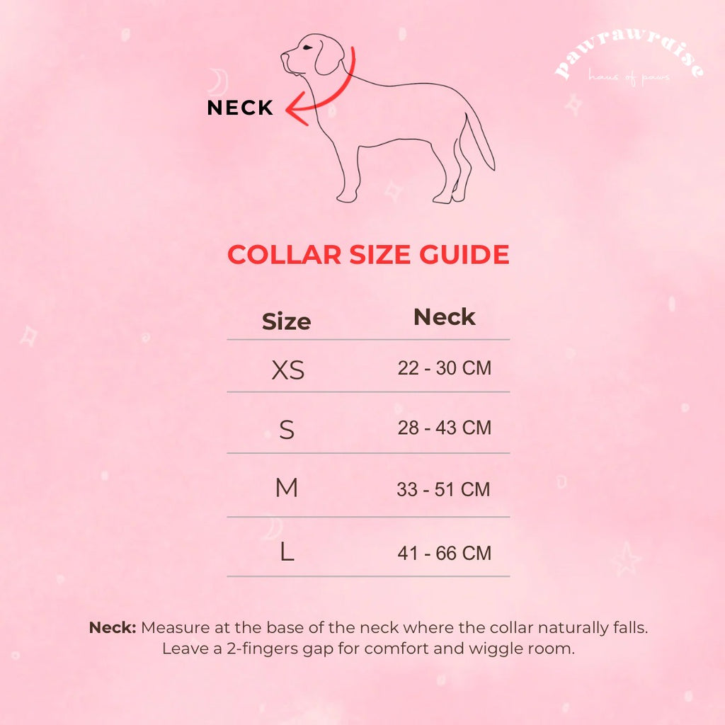 Enchanted Dog Collar