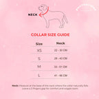 Enchanted Dog Collar