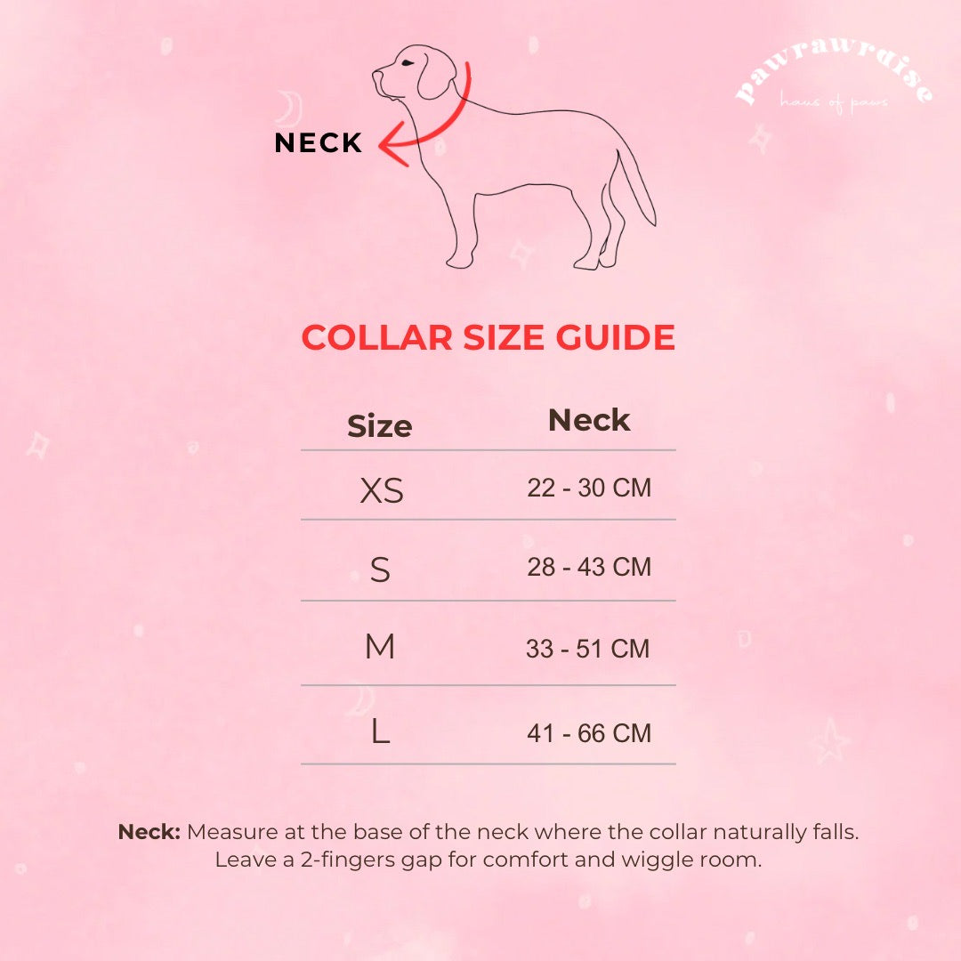 Enchanted Dog Collar