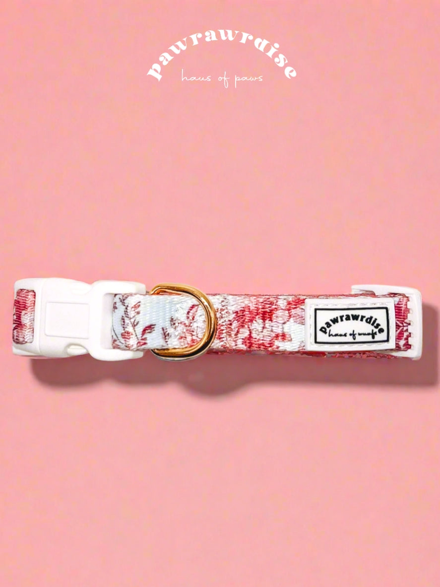 City of Love Dog Collar